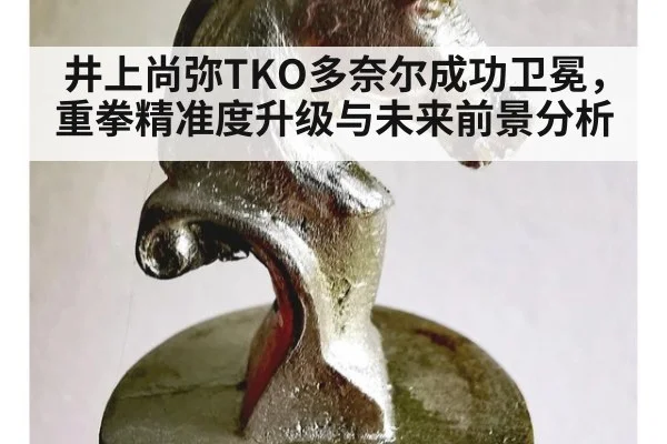 井上尚弥TKO多奈尔成功卫冕，重拳精准度升级与未来前景分析